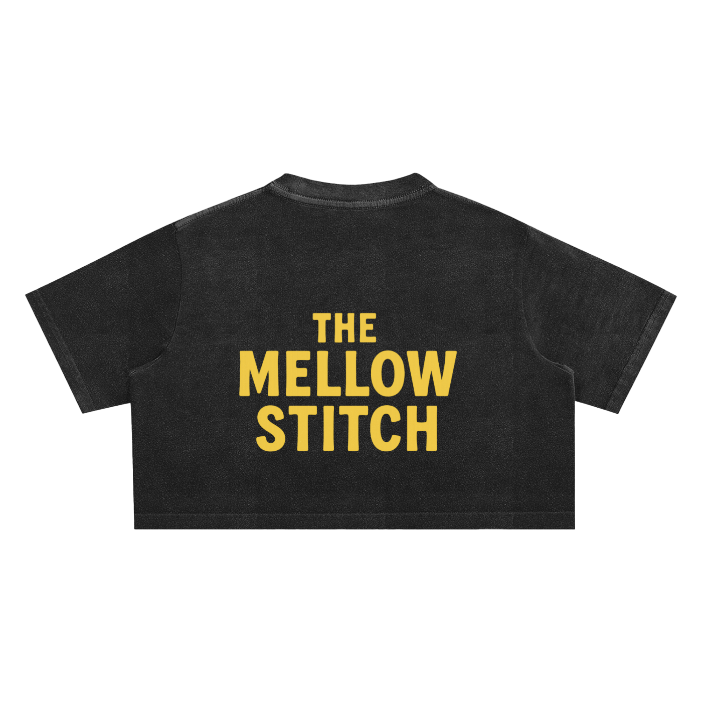 Meditated Snow Washed Crop Top - Women's