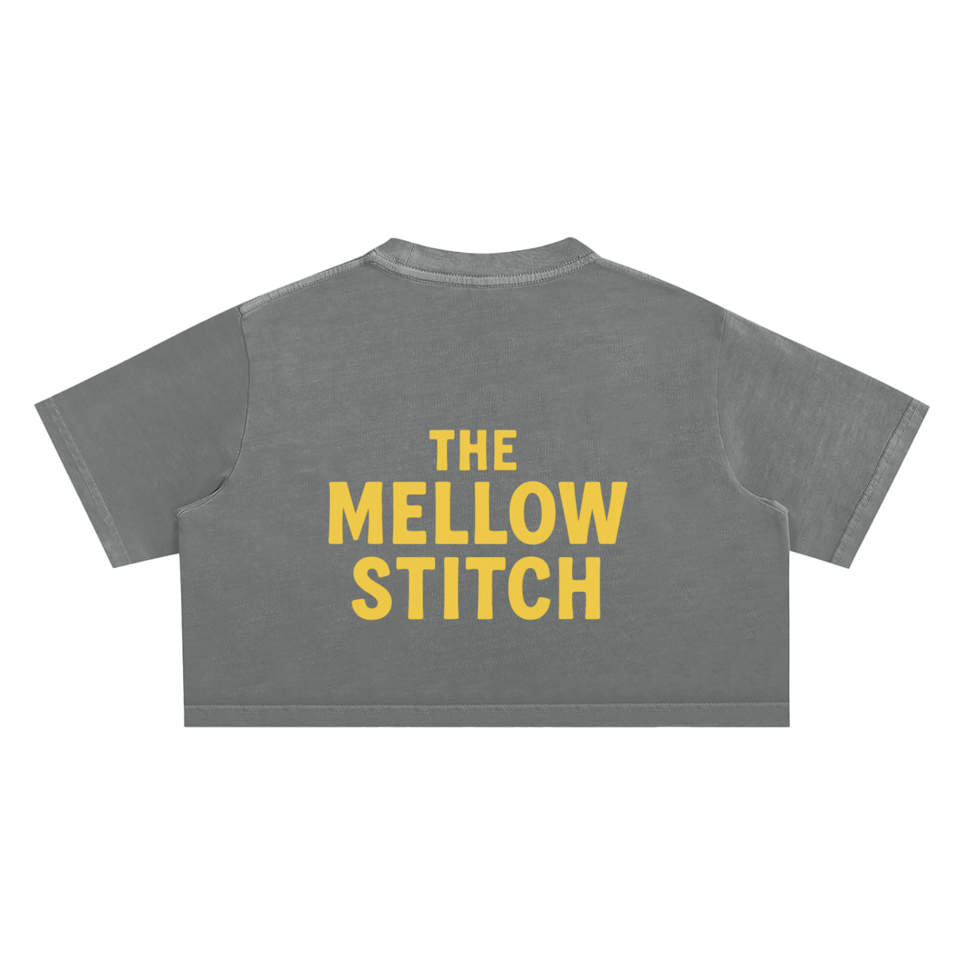 Meditated Snow Washed Crop Top - Women's