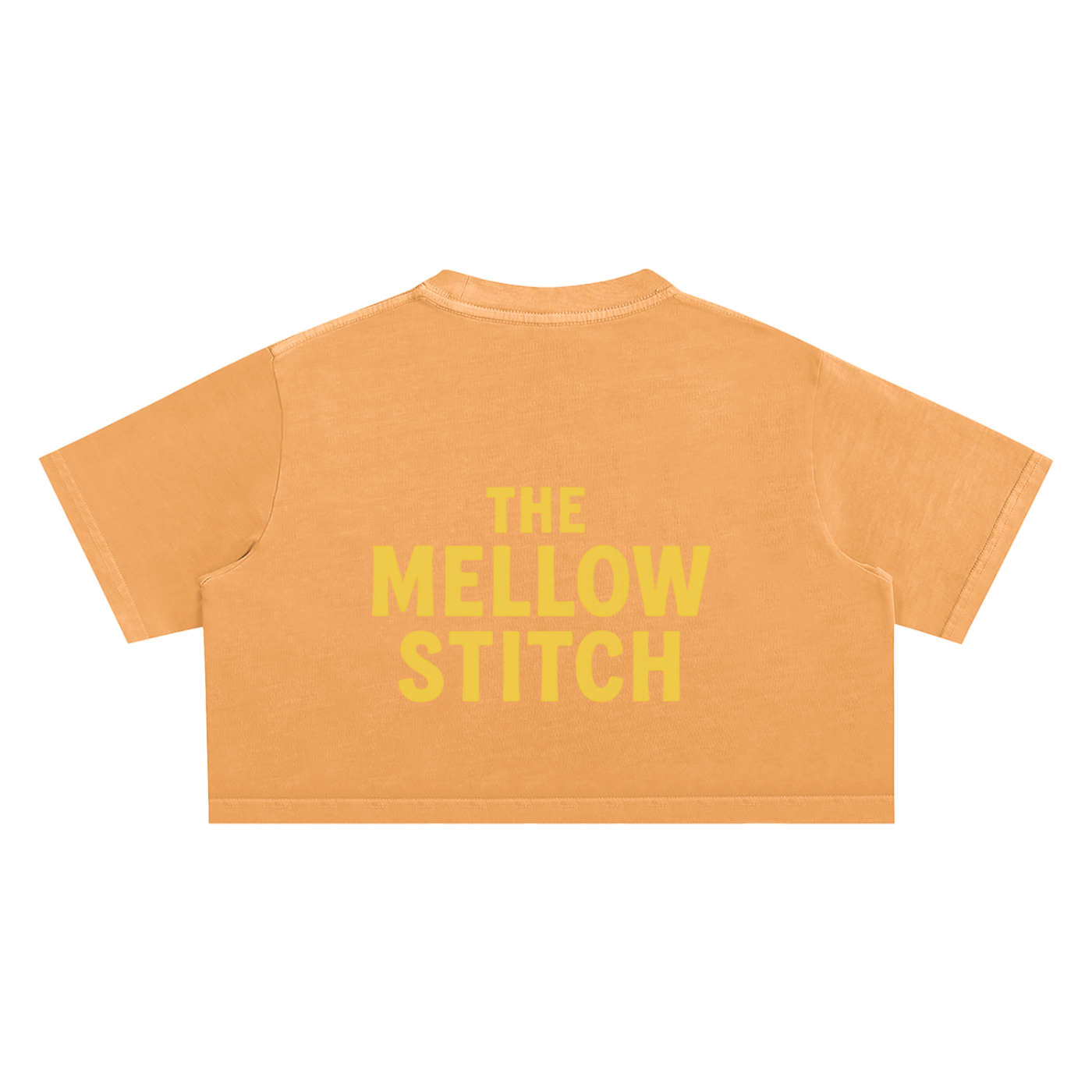 Meditated Snow Washed Crop Top - Women's